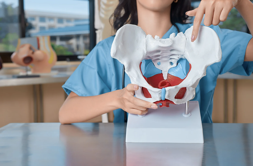 Ilmainen miniopas lantion ja lantionpohjan rentouttamiseen synnytykseen by Hyvinvointi Fabriikki